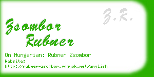 zsombor rubner business card